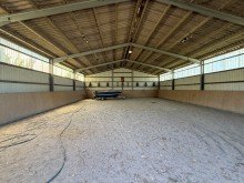  Seltene Gelegenheit bei Worms-Rheind�rkheim: �ber 20.000 m�, ca. 300 m� Wohnfl�che, Reithalle&Koppel