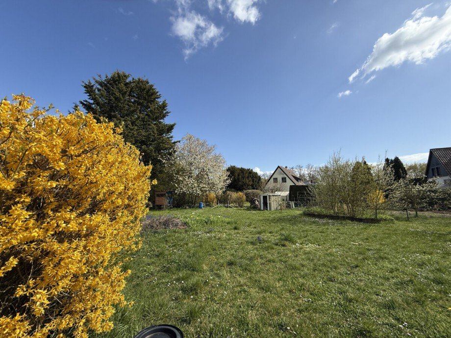  Einfamilienhaus Lampertheim / Hofheim