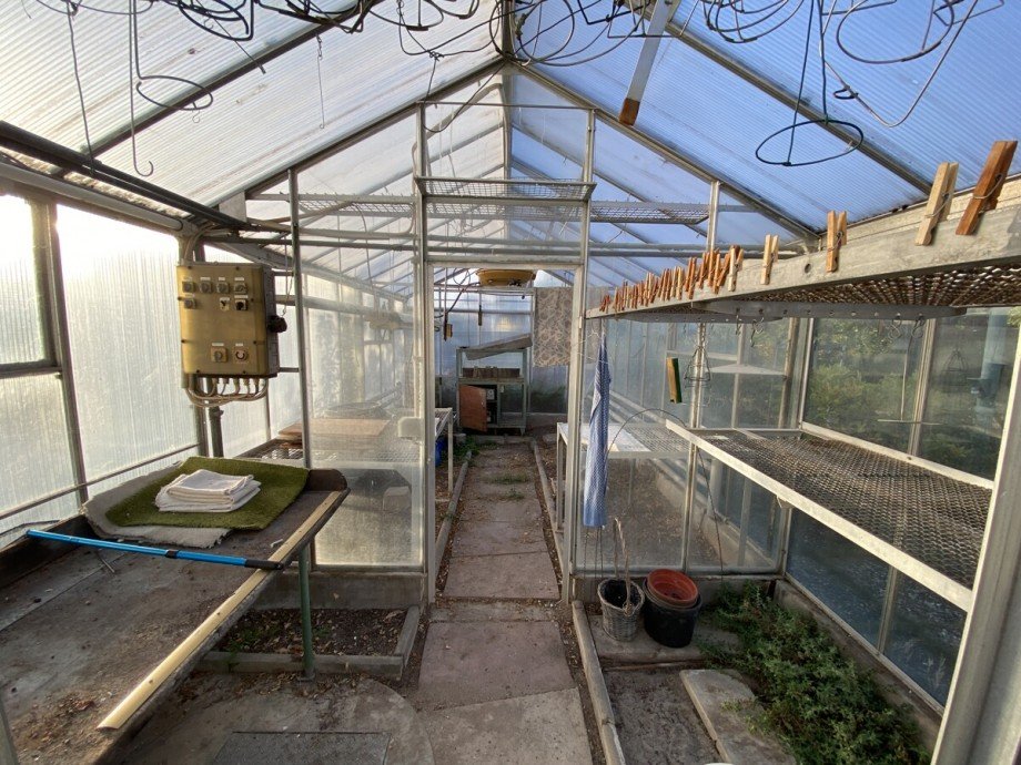  Einfamilienhaus Worms