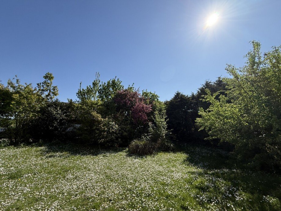 Gartenansicht Einfamilienhaus Worms-Pfeddersheim