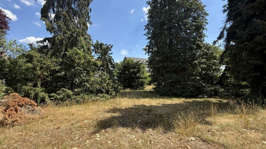  Einfamilienhaus Worms / Weinsheim