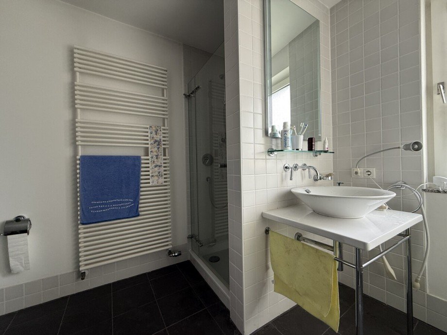 OG Duschbad Einfamilienhaus Worms / Heppenheim an der Wiese