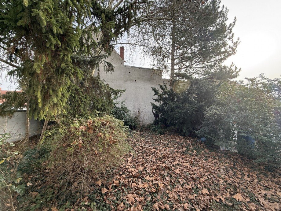 Garten Einfamilienhaus Worms / Heppenheim an der Wiese