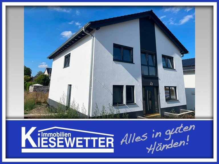  Gundersheim Einfamilienhaus 