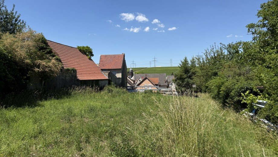  Einfamilienhaus Monzernheim