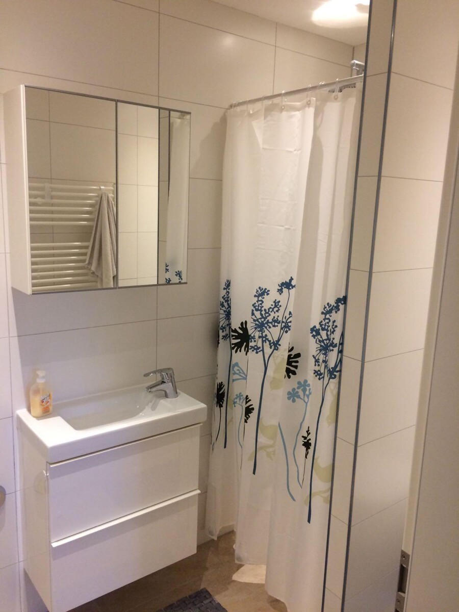 EG Duschbad Mehrfamilienhaus Offstein