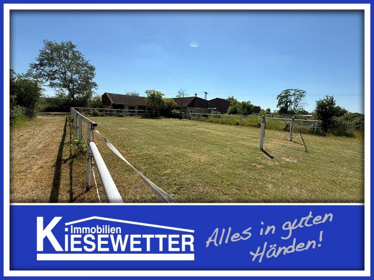  Worms Villa Seltene Gelegenheit bei Worms-Rheind�rkheim: �ber 20.000 m�, ca. 300 m� Wohnfl�che, Reithalle&Koppel