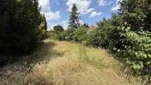  Freistehendes Einfamilienhaus mit gro�em Grundst�ck in Worms-Horchheim