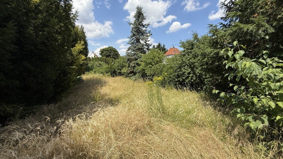  Einfamilienhaus Worms-Horchheim