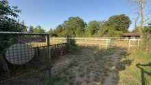  Seltene Gelegenheit bei Worms-Rheind�rkheim: �ber 20.000 m�, ca. 300 m� Wohnfl�che, Reithalle&Koppel